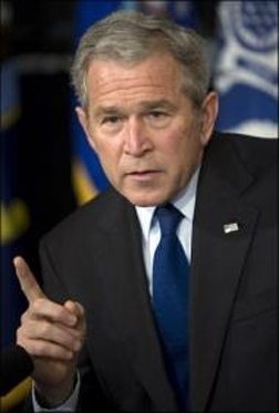 bush.jpg