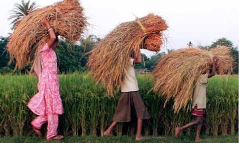 An-Indian-farming-family-006
